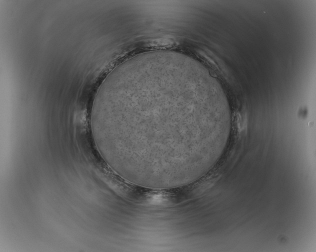 X0000113630564200910021854
