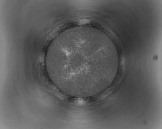 X0000113630565200910021854