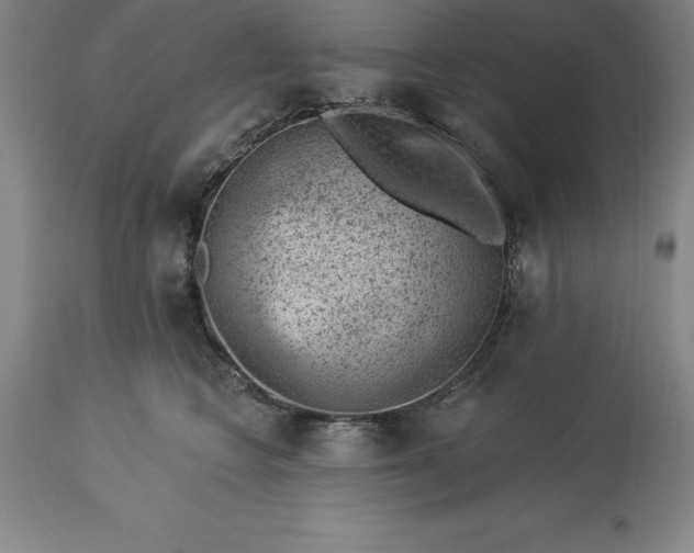 X0000113630566200910021854