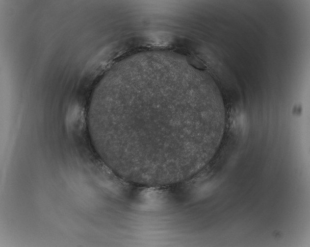 X0000113630568200910021854