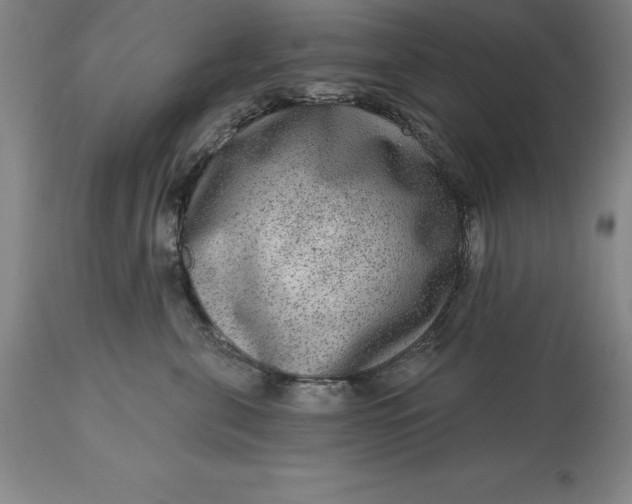 X0000113630571200910021854