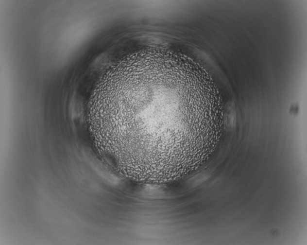 X0000113630573200910021854
