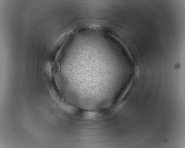 X0000113630575200910021854