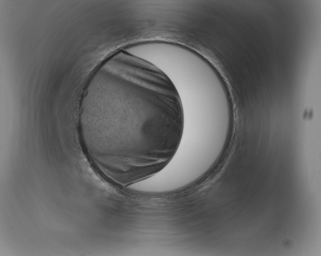 X0000113630577200910021854
