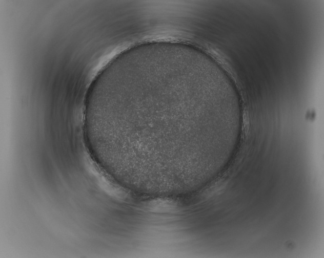 X0000113630578200910021854