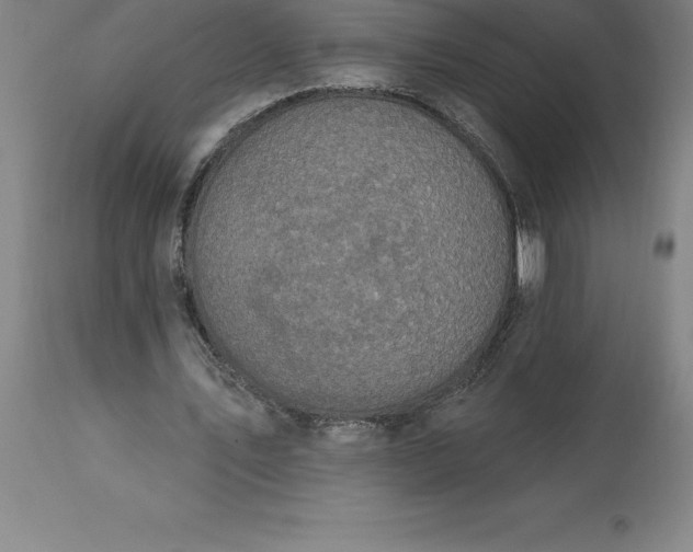 X0000113630579200910021854