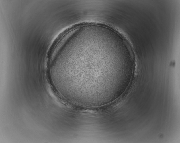 X0000113630580200910021854