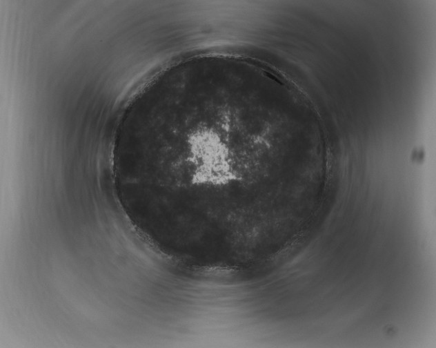 X0000113630581200910021854