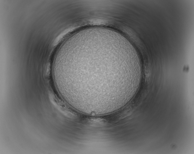 X0000113630583200910021854