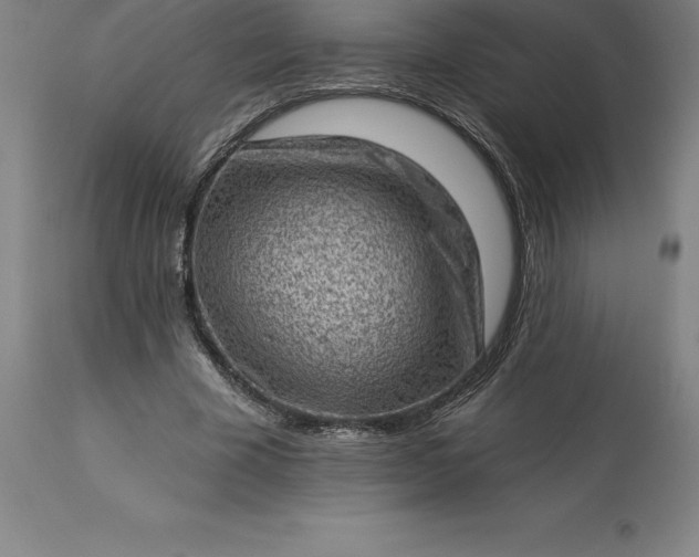 X0000113630585200910021854