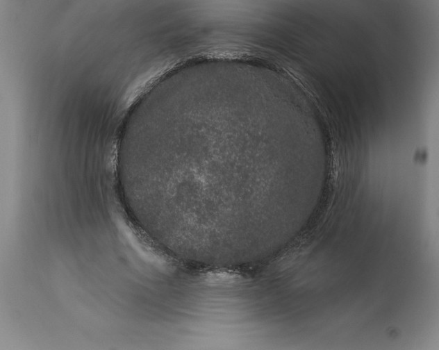 X0000113630586200910021854