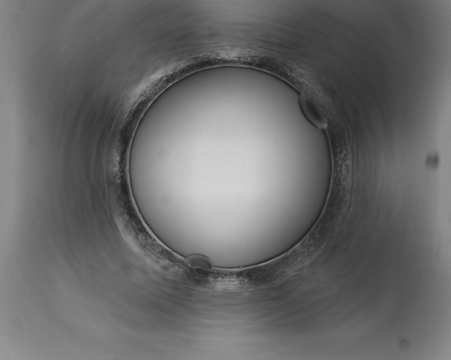 X0000113630587200910021854