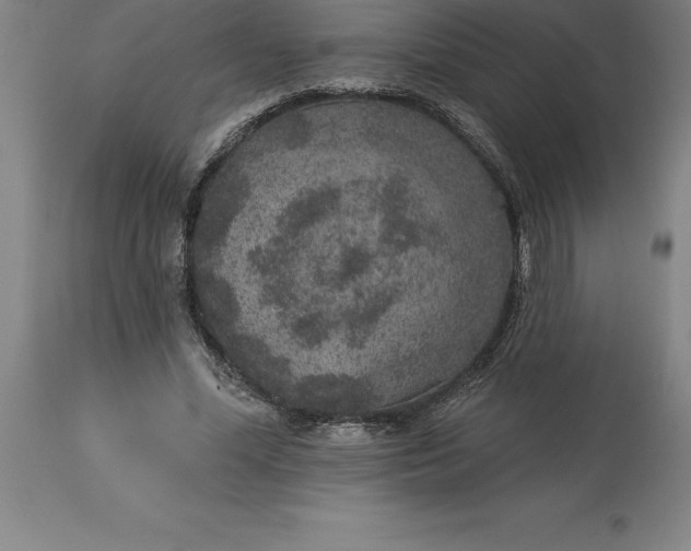 X0000113630588200910021854