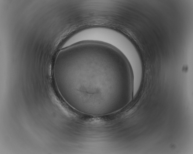 X0000113630589200910021853