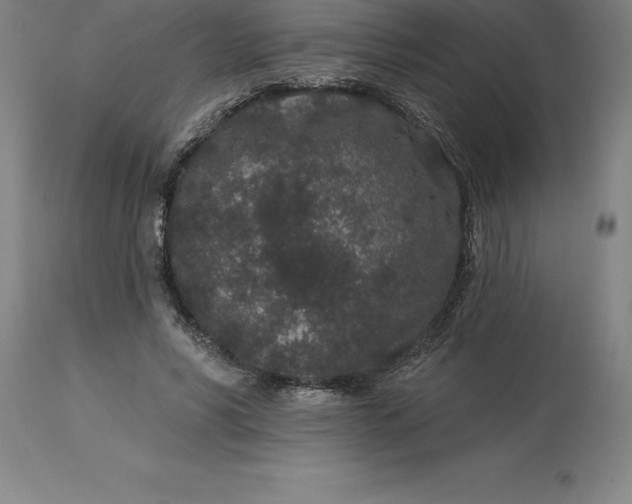 X0000113630590200910021853