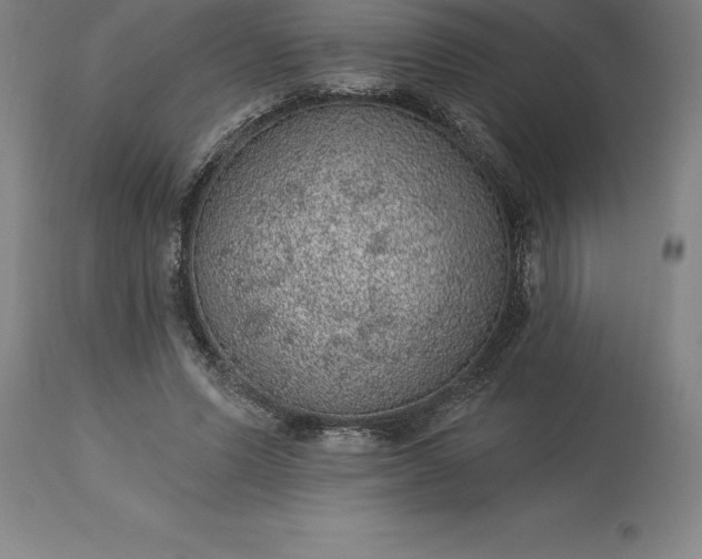 X0000113630591200910021853