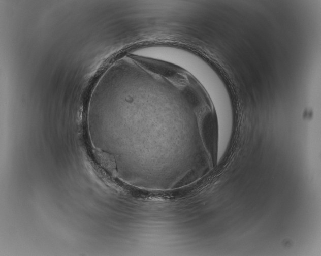 X0000113630592200910021853