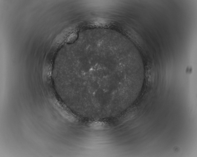 X0000113630593200910021853