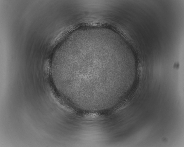 X0000113630594200910021853