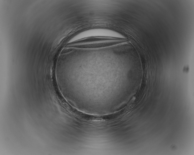 X0000113630595200910021853