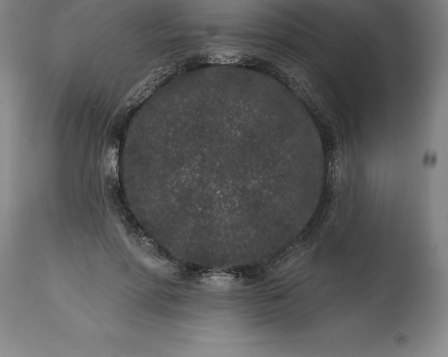 X0000113630598200910021853