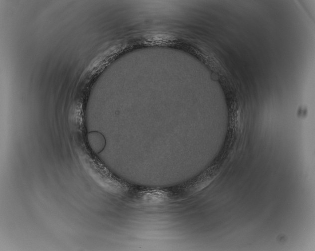 X0000113630599200910021853