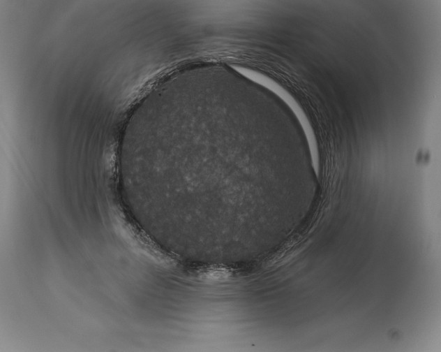 X0000113630600200910021853