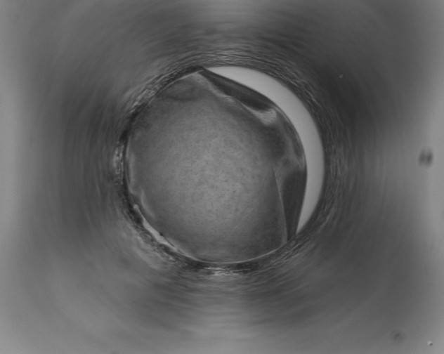 X0000113630601200910021853
