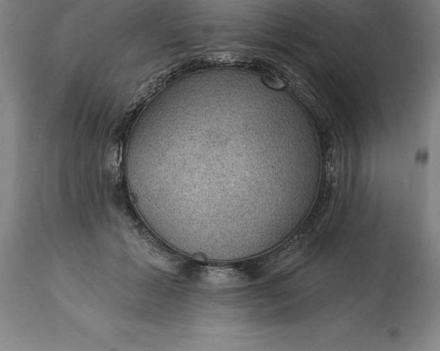 X0000113630605200910021853