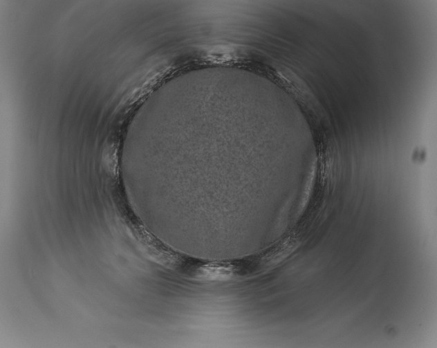 X0000113630606200910021853