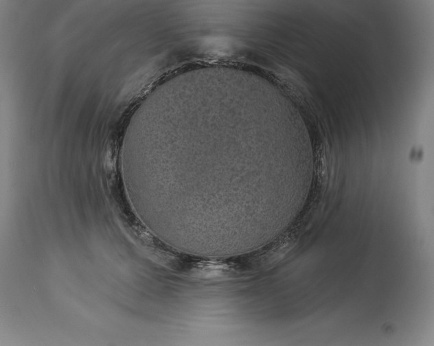 X0000113630607200910021853