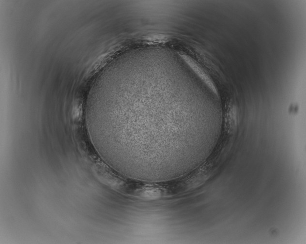 X0000113630608200910021853