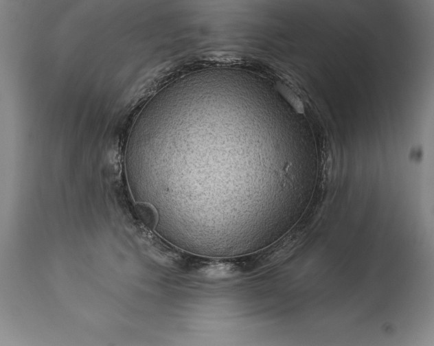 X0000113630609200910021853