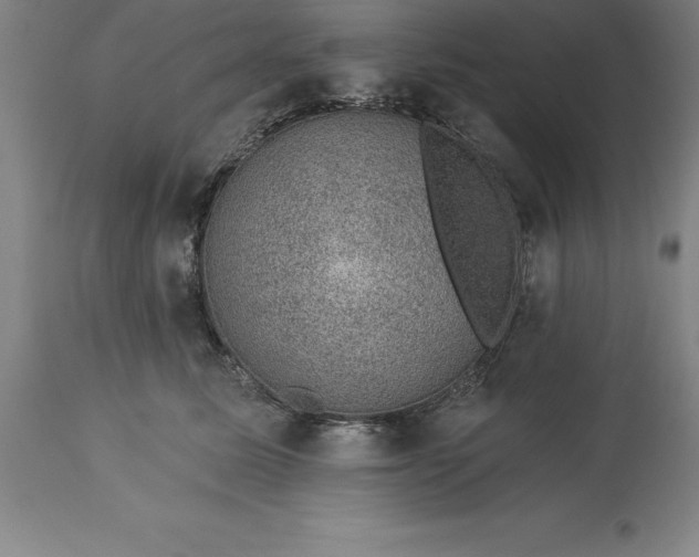 X0000113630611200910021853