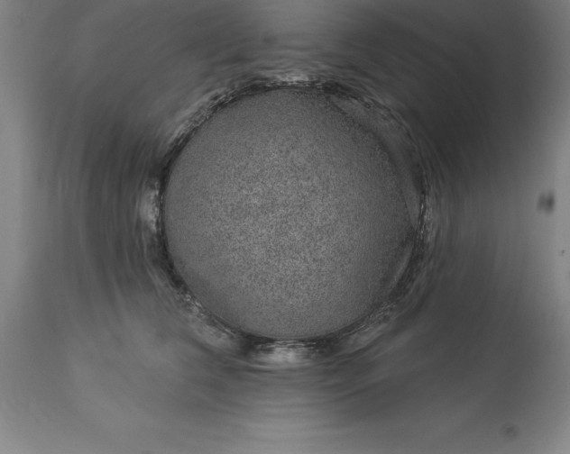 X0000113630612200910021853