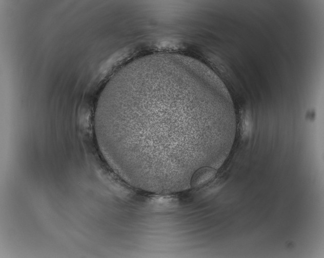X0000113630619200910021853