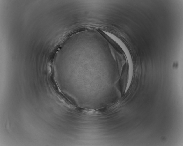 X0000113630621200910021853
