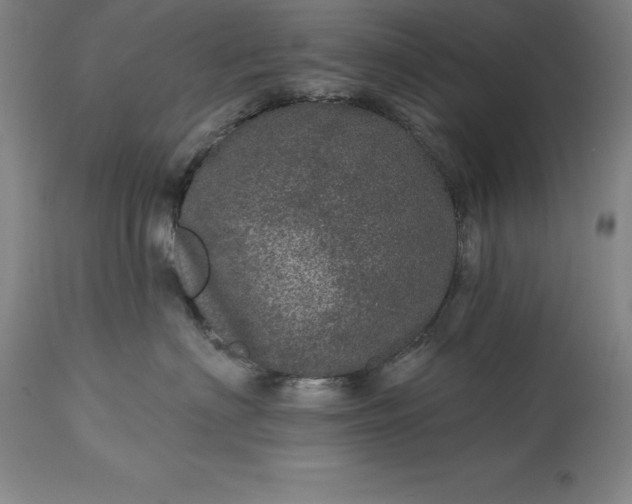 X0000113630622200910021853