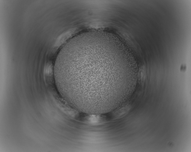 X0000113630623200910021853