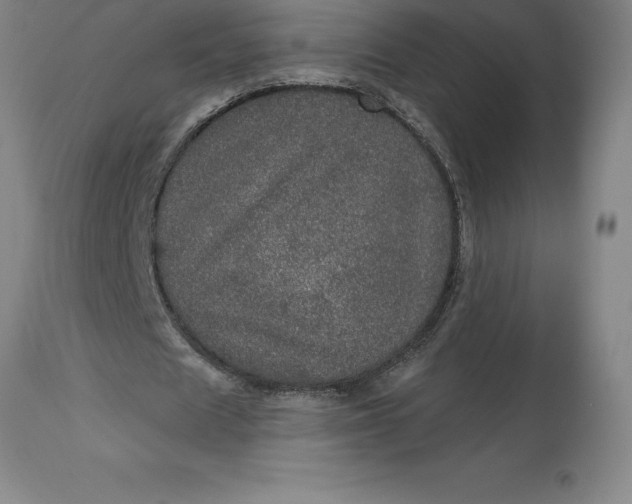 X0000113630625200910021852