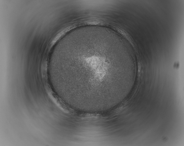 X0000113630626200910021852