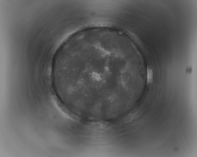 X0000113630627200910021852