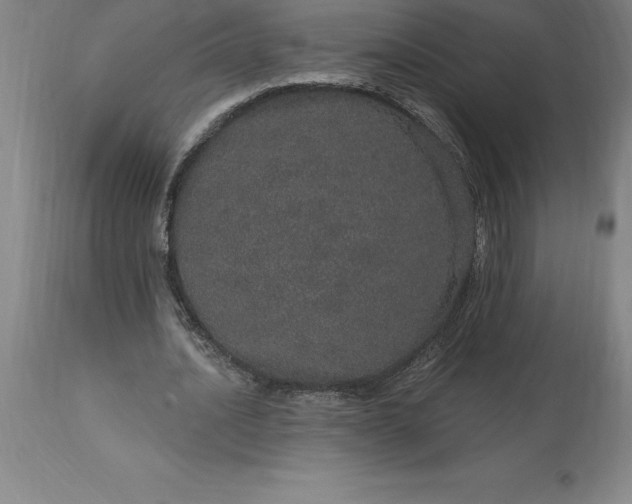 X0000113630628200910021852