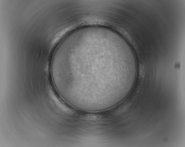 X0000113630629200910021852