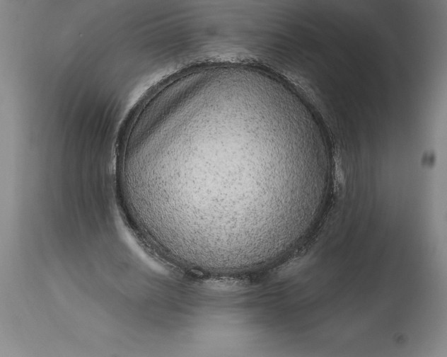 X0000113630630200910021852