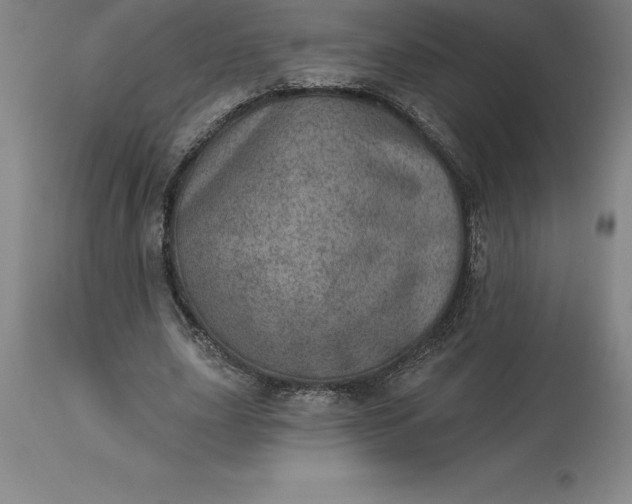X0000113630631200910021852