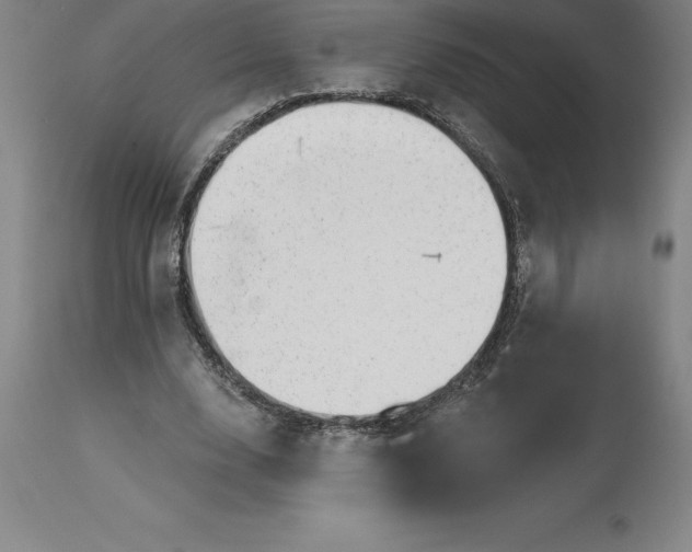 X0000113630632200910021852