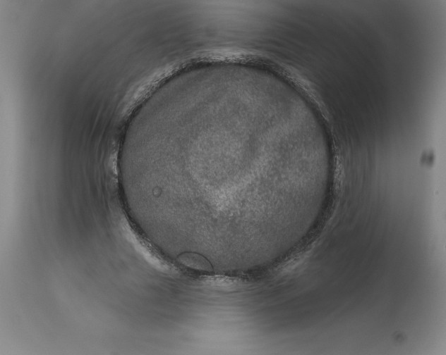 X0000113630633200910021852