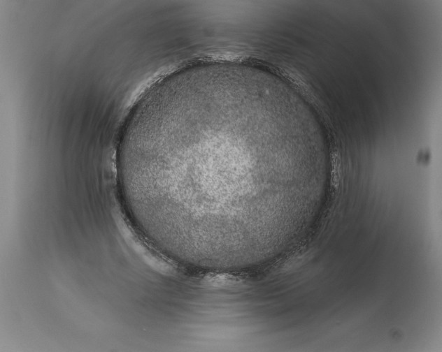 X0000113630634200910021852