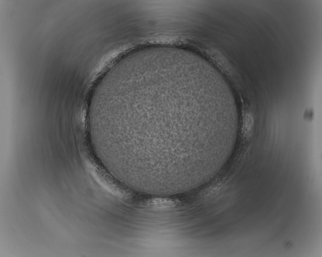 X0000113630636200910021853